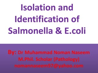 By: Dr Muhammad Noman Naseem
M.Phil. Scholar (Pathology)
nomannaseem97@yahoo.com
Isolation and
Identification of
Salmonella & E.coli
 