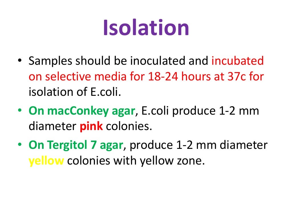 Isolation and identification of salmonella &e.coli