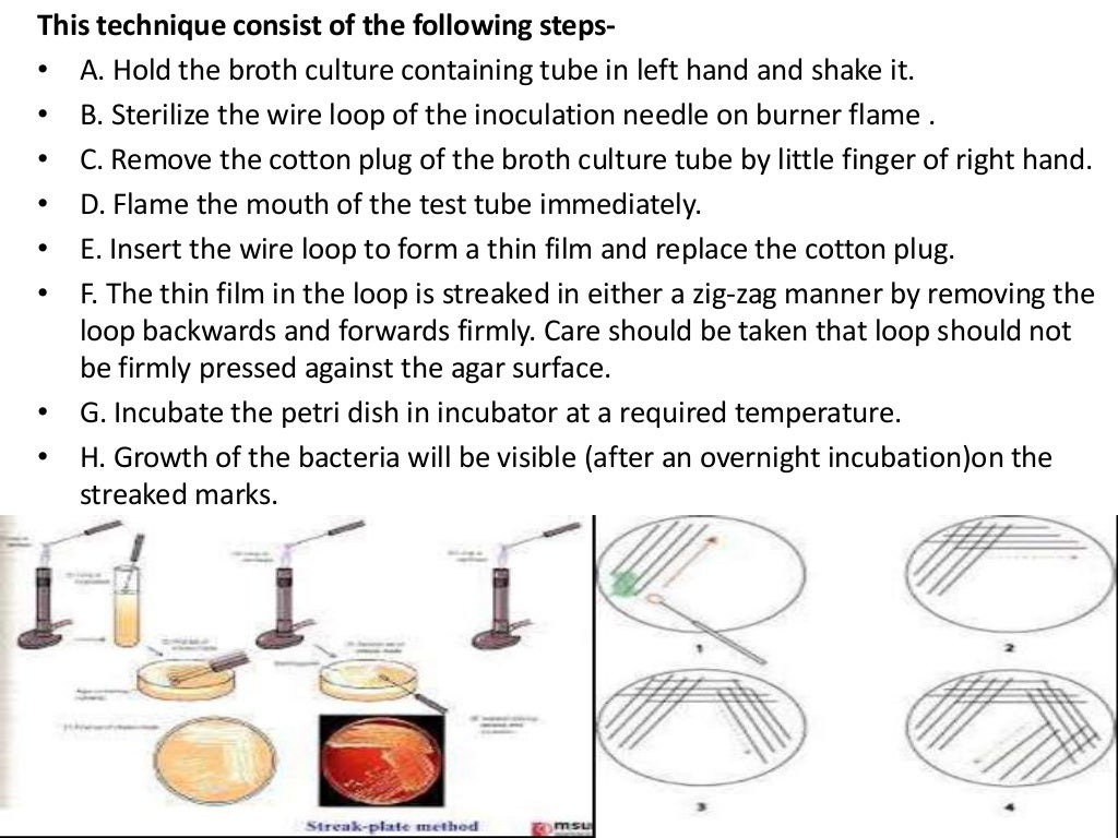 Isolation and preservation of bacteria