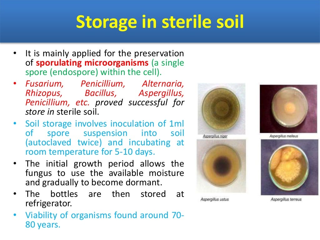 Isolation and preservation of bacteria