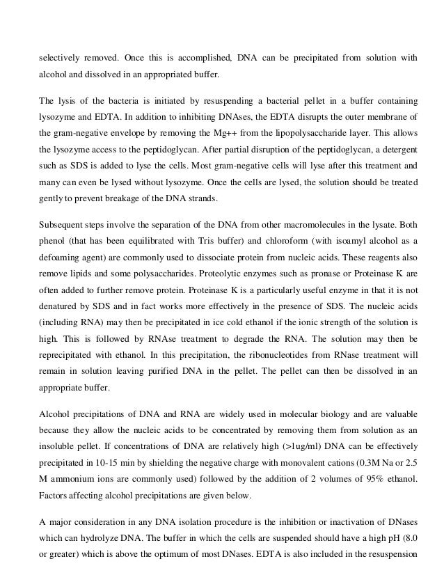 Essay on dna and rna