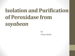 Isolation and Purification
of Peroxidase from
soyabean
by
Pooja Walke
 