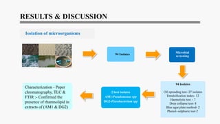 Isolation, Characterization, and Optimization of Rhamnolipid ...