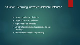 Isolation Distance and it's Importance in seed Production