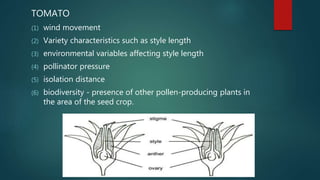 Isolation Points Inplant Isolation distance IN SEED PRODUCTION | PPTX