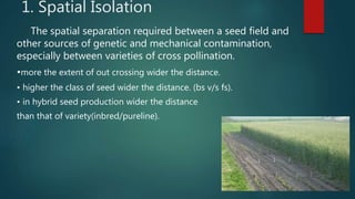 1. Spatial Isolation
The spatial separation required between a seed field and
other sources of genetic and mechanical cont...