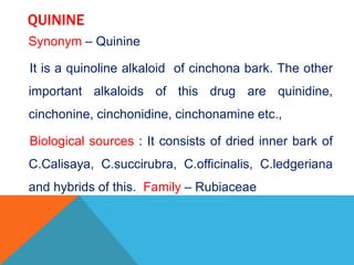 QUININE
Synonym – Quinine
It is a quinoline alkaloid of cinchona bark. The other
important alkaloids of this drug are quinidine,
cinchonine, cinchonidine, cinchonamine etc.,
Biological sources : It consists of dried inner bark of
C.Calisaya, C.succirubra, C.officinalis, C.ledgeriana
and hybrids of this. Family – Rubiaceae
 