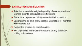 EXTRACTION AND ISOLATION
Take the accurately weighed quantity of coarse powder of
Mentha piperita parts just before flowering .
Extract the peppermint oil by water distillation method.
Separate the oil and allow cooling. Crystals of (-) menthol
will separate out.
Collect the crystals by centrifugation.
Re- Crystallize menthol from acetone or any other low
boiling point solvent
 