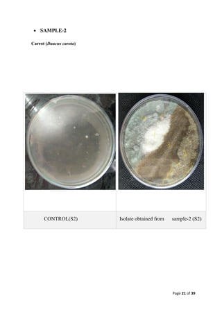 Isolation, identification and characterization of fungi from stored ...