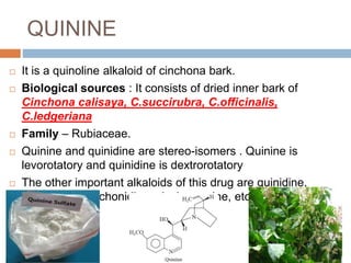 QUININE
 It is a quinoline alkaloid of cinchona bark.
 Biological sources : It consists of dried inner bark of
Cinchona calisaya, C.succirubra, C.officinalis,
C.ledgeriana
 Family – Rubiaceae.
 Quinine and quinidine are stereo-isomers . Quinine is
levorotatory and quinidine is dextrorotatory
 The other important alkaloids of this drug are quinidine,
cinchonine, cinchonidine, cinchonamine, etc.
 