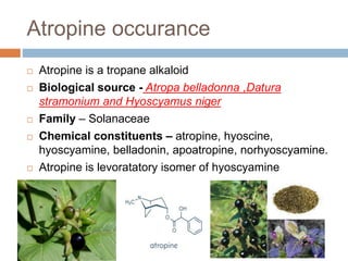 Atropine occurance
 Atropine is a tropane alkaloid
 Biological source - Atropa belladonna ,Datura
stramonium and Hyoscyamus niger
 Family – Solanaceae
 Chemical constituents – atropine, hyoscine,
hyoscyamine, belladonin, apoatropine, norhyoscyamine.
 Atropine is levoratatory isomer of hyoscyamine
 