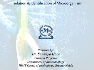 Isolation & Identification ofMicroorganism
Prepared by:
Dr. Sandhya Hora
Assistant Professor
Department of Biotechnology
HIMT Group of Institutions, Greater Noida
 