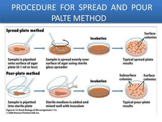 PROCEDURE FOR SPREAD AND POUR
PALTE METHOD
 