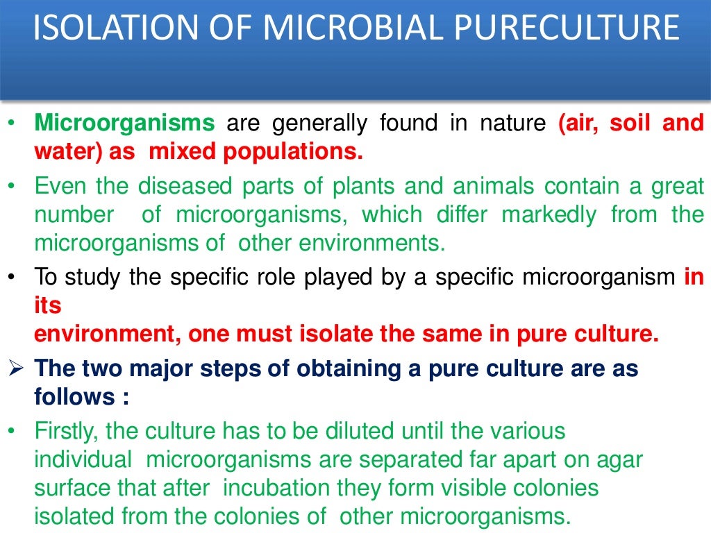 Isolation & Identification of