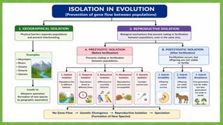 Reproductive Isolation Types Isolation mechanism: Types of isolation - Geographical and reproductive ...
