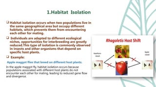 Isolation mechanism: Types of isolation - Geographical and reproductive ...