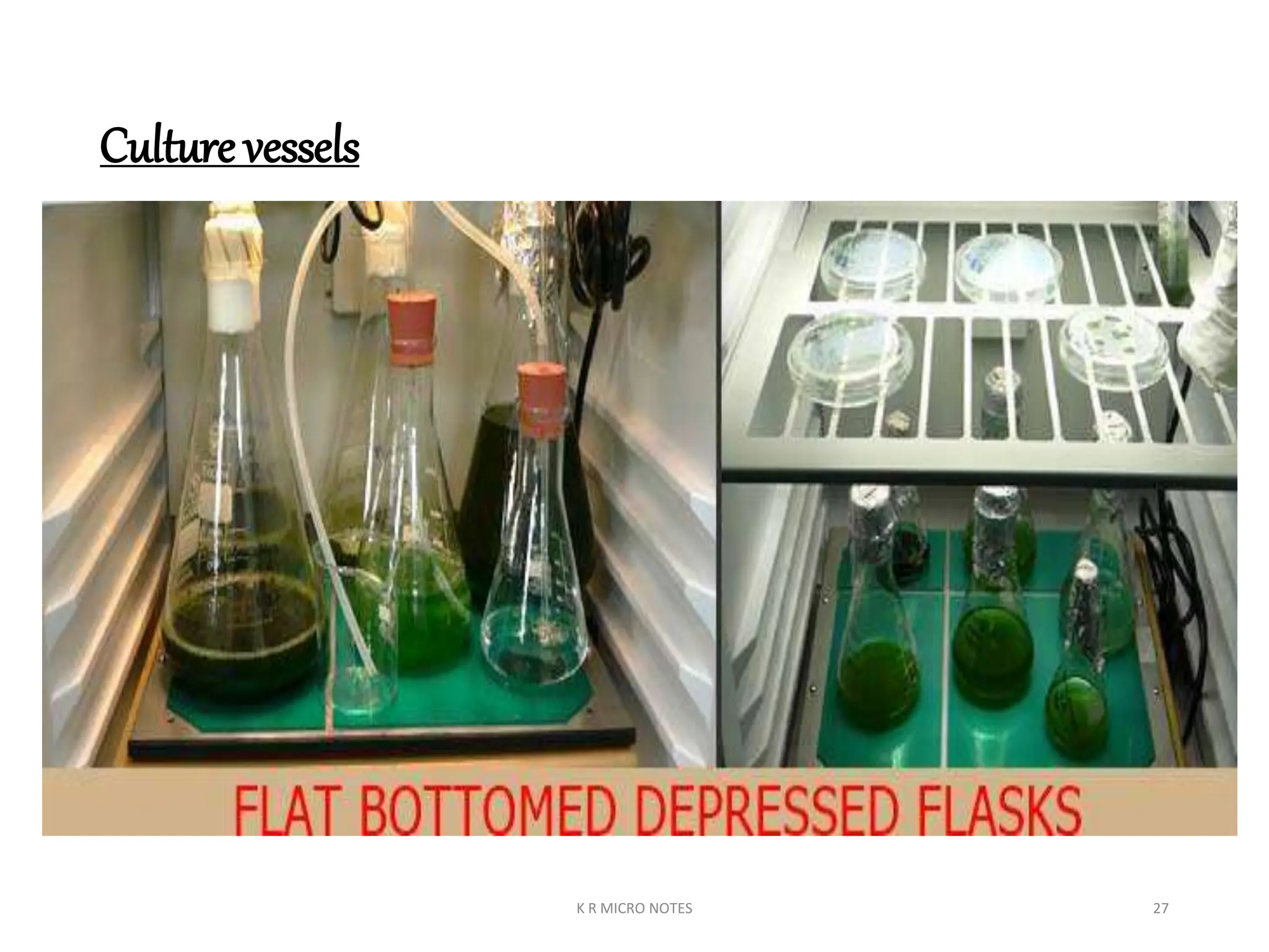 ISOLATION OF ALGAE (INDOOR) AND PHOTOBIOREACTOR K R.ppt