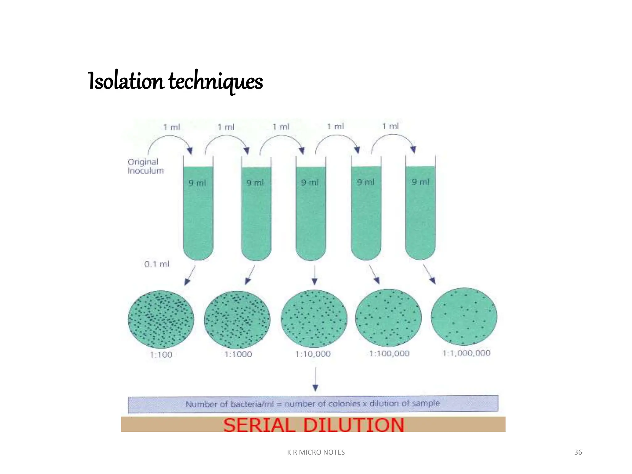 ISOLATION OF ALGAE (INDOOR) AND PHOTOBIOREACTOR K R.ppt