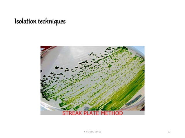 ISOLATION OF ALGAE (INDOOR) AND PHOTOBIOREACTOR K R.ppt