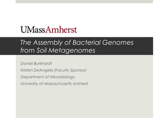 The Assembly of Bacterial Genomes
from Soil Metagenomes
Daniel Burkhardt
Kristen DeAngelis (Faculty Sponsor)
Department of Microbiology
University of Massachusetts Amherst
 
