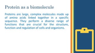 Protein as a biomolecule
Proteins are large, complex molecules made up
of amino acids linked together in a specific
sequence. They perform a diverse range of
functions that are crucial for the structure,
function and regulation of cells and organisms.
 