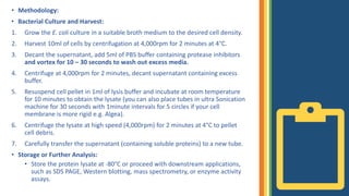 • Methodology:
• Bacterial Culture and Harvest:
1. Grow the E. coli culture in a suitable broth medium to the desired cell density.
2. Harvest 10ml of cells by centrifugation at 4,000rpm for 2 minutes at 4°C.
3. Decant the supernatant, add 5ml of PBS buffer containing protease inhibitors
and vortex for 10 – 30 seconds to wash out excess media.
4. Centrifuge at 4,000rpm for 2 minutes, decant supernatant containing excess
buffer.
5. Resuspend cell pellet in 1ml of lysis buffer and incubate at room temperature
for 10 minutes to obtain the lysate (you can also place tubes in ultra Sonication
machine for 30 seconds with 1minute intervals for 5 circles if your cell
membrane is more rigid e.g. Algea).
6. Centrifuge the lysate at high speed (4,000rpm) for 2 minutes at 4°C to pellet
cell debris.
7. Carefully transfer the supernatant (containing soluble proteins) to a new tube.
• Storage or Further Analysis:
• Store the protein lysate at -80°C or proceed with downstream applications,
such as SDS PAGE, Western blotting, mass spectrometry, or enzyme activity
assays.
 