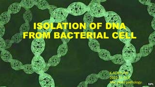 ISOLATION OF DNA
FROM BACTERIAL CELL
K.ACHYUTH
2022-11-113
Msc plant pathology1
 