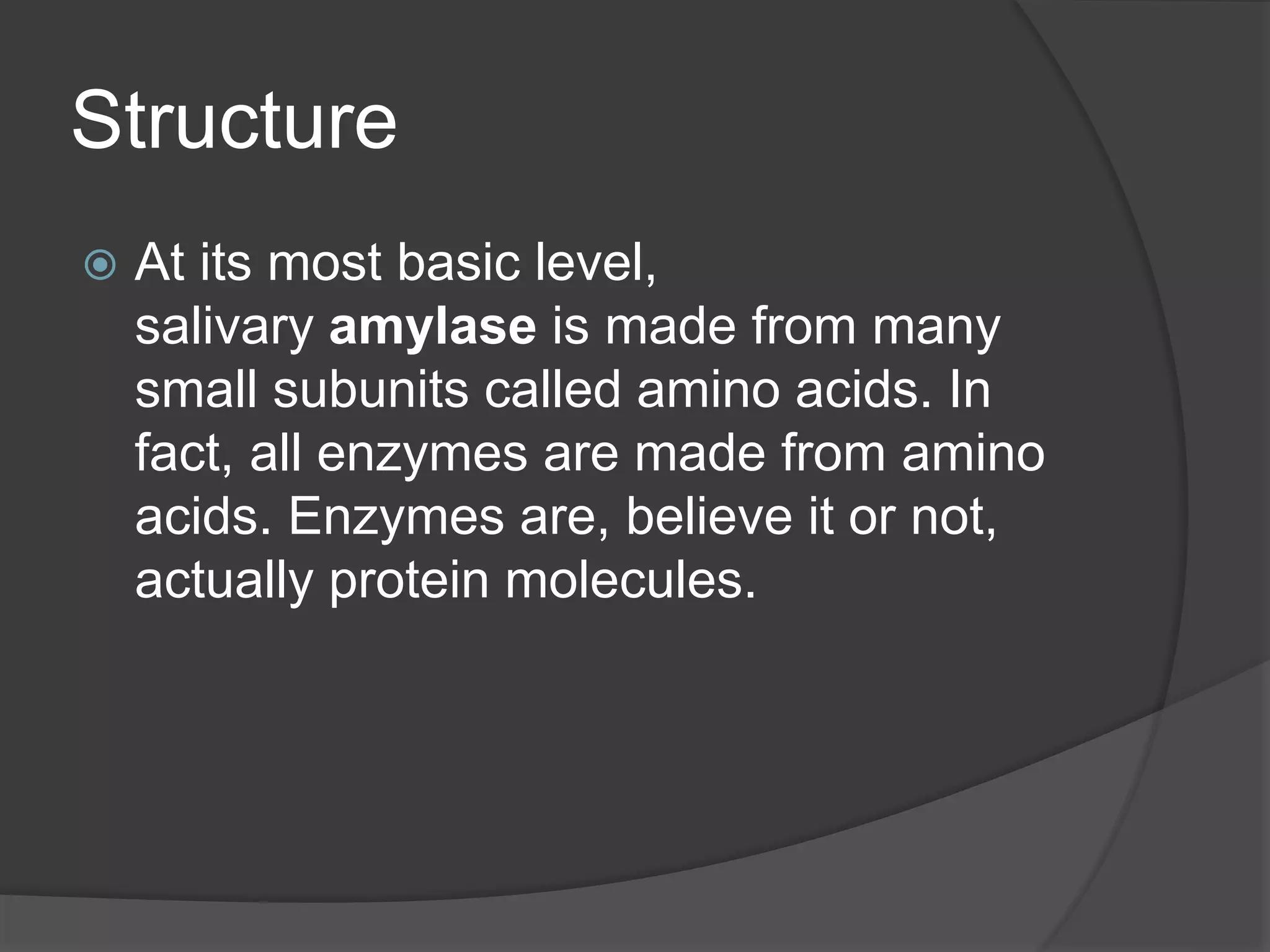 Structure
 At its most basic level,
salivary amylase is made from many
small subunits called amino acids. In
fact, all enzymes are made from amino
acids. Enzymes are, believe it or not,
actually protein molecules.
 