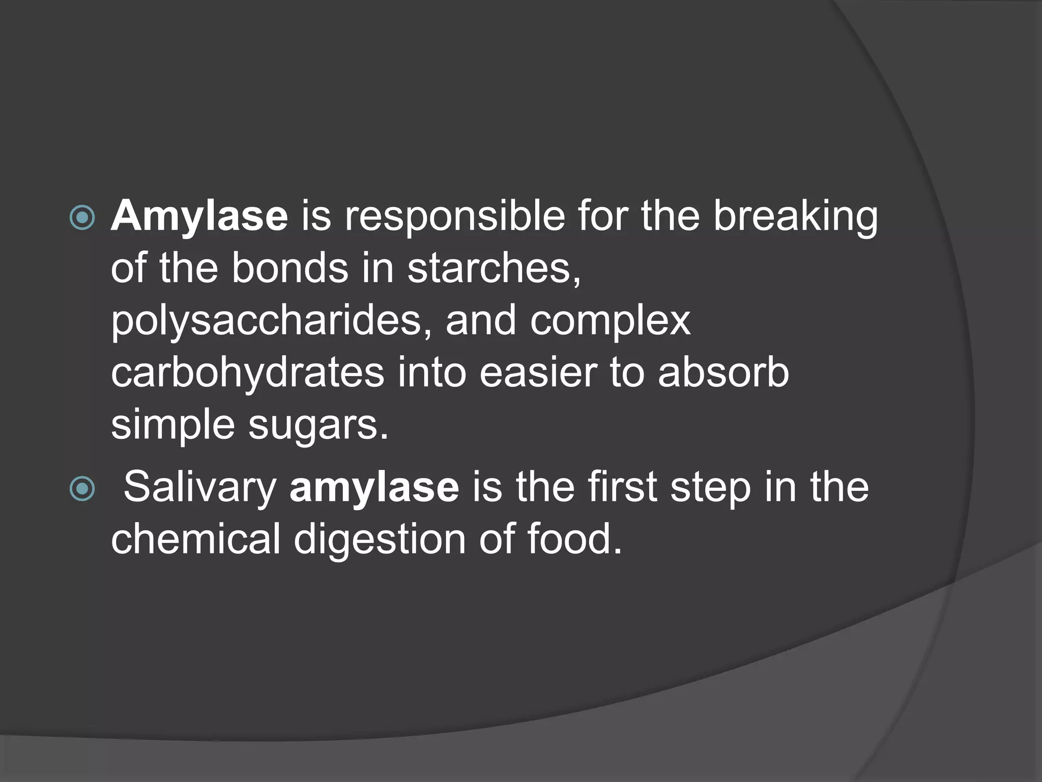  Amylase is responsible for the breaking
of the bonds in starches,
polysaccharides, and complex
carbohydrates into easier to absorb
simple sugars.
 Salivary amylase is the first step in the
chemical digestion of food.
 