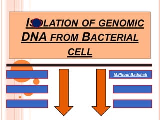 ISOLATION OF GENOMIC
DNA FROM BACTERIAL
CELL
M.Phool Badshah
 
