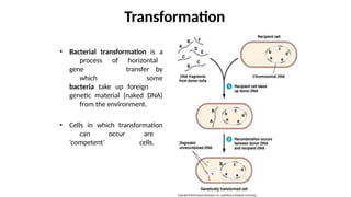 isolationofindustrialmicroorganisms-210610090245 (1).pptx