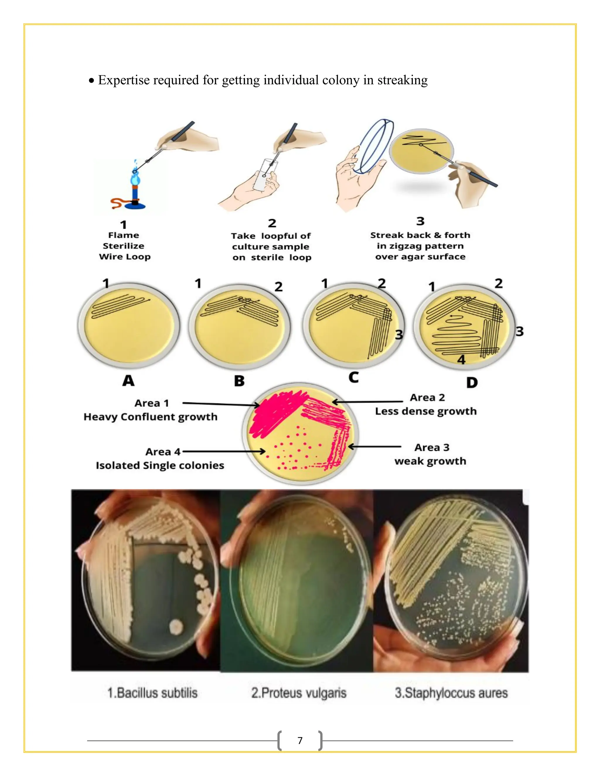 7
• Expertise required for getting individual colony in streaking
 