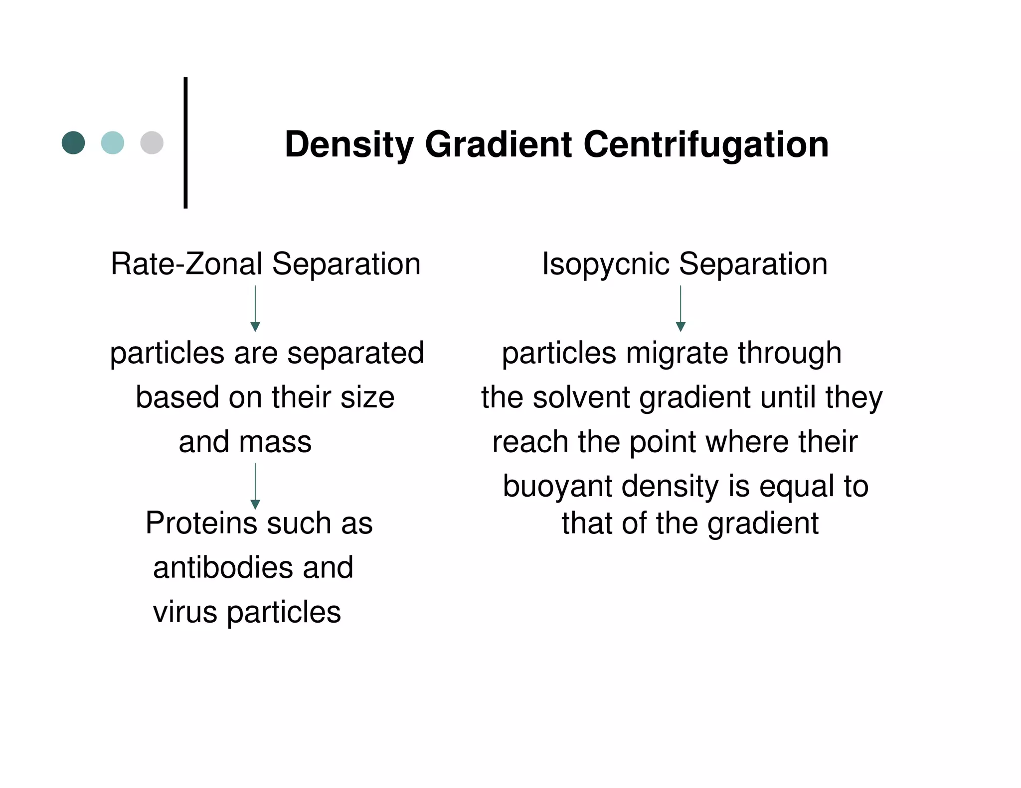Density Gradient Centrifugation
Rate-Zonal Separation Isopycnic Separation
particles are separated particles migrate through
based on their size the solvent gradient until they
and mass reach the point where their
buoyant density is equal to
Proteins such as that of the gradient
antibodies and
virus particles
 