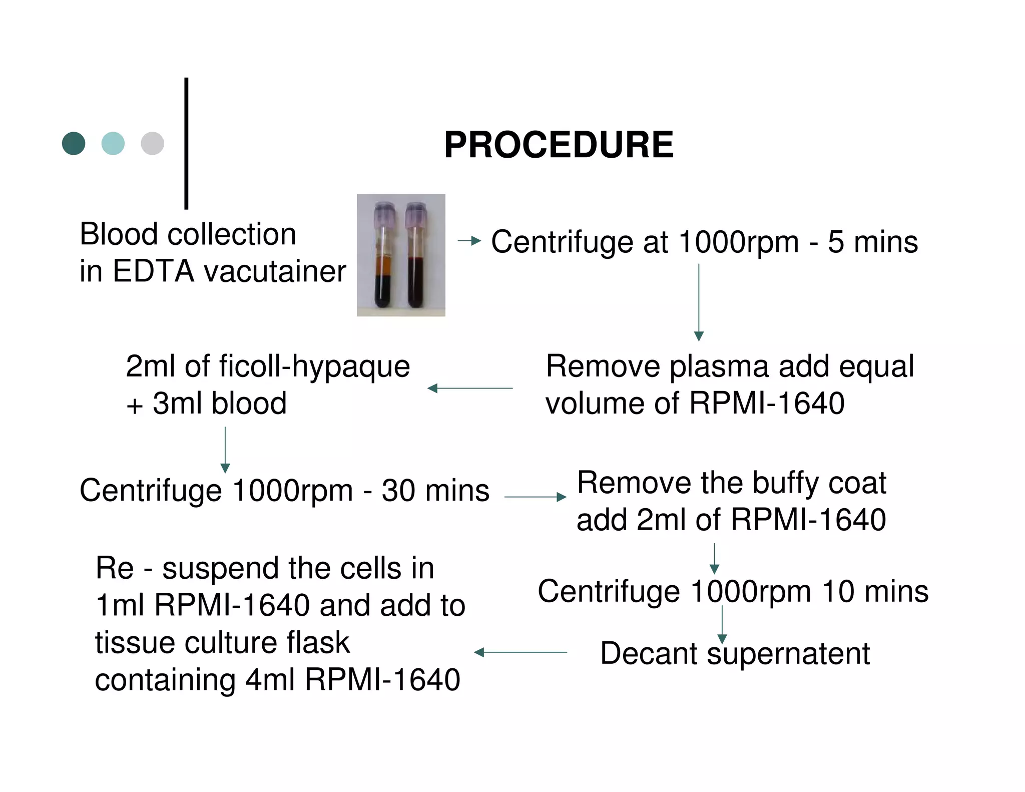 Blood collection
in EDTA vacutainer
PROCEDURE
Centrifuge at 1000rpm - 5 mins
Remove plasma add equal
volume of RPMI-1640
2ml of ficoll-hypaque
+ 3ml blood
Centrifuge 1000rpm - 30 mins Remove the buffy coat
add 2ml of RPMI-1640
Centrifuge 1000rpm 10 mins
Re - suspend the cells in
1ml RPMI-1640 and add to
tissue culture flask
containing 4ml RPMI-1640
Decant supernatent
 