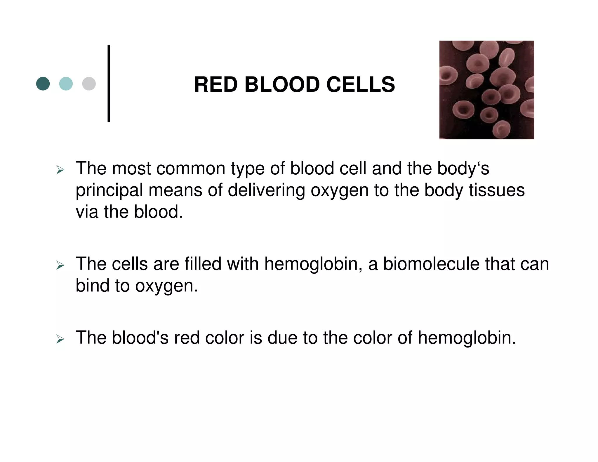 RED BLOOD CELLS
The most common type of blood cell and the body‘s
principal means of delivering oxygen to the body tissues
via the blood.
The cells are filled with hemoglobin, a biomolecule that can
bind to oxygen.
The blood's red color is due to the color of hemoglobin.
 
