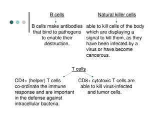 Isolation of pbmc | PDF