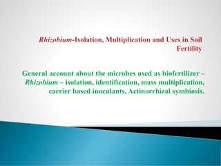 General account about the microbes used as biofertilizer –
Rhizobium – isolation, identification, mass multiplication,
carrier based inoculants, Actinorrhizal symbiosis.
 