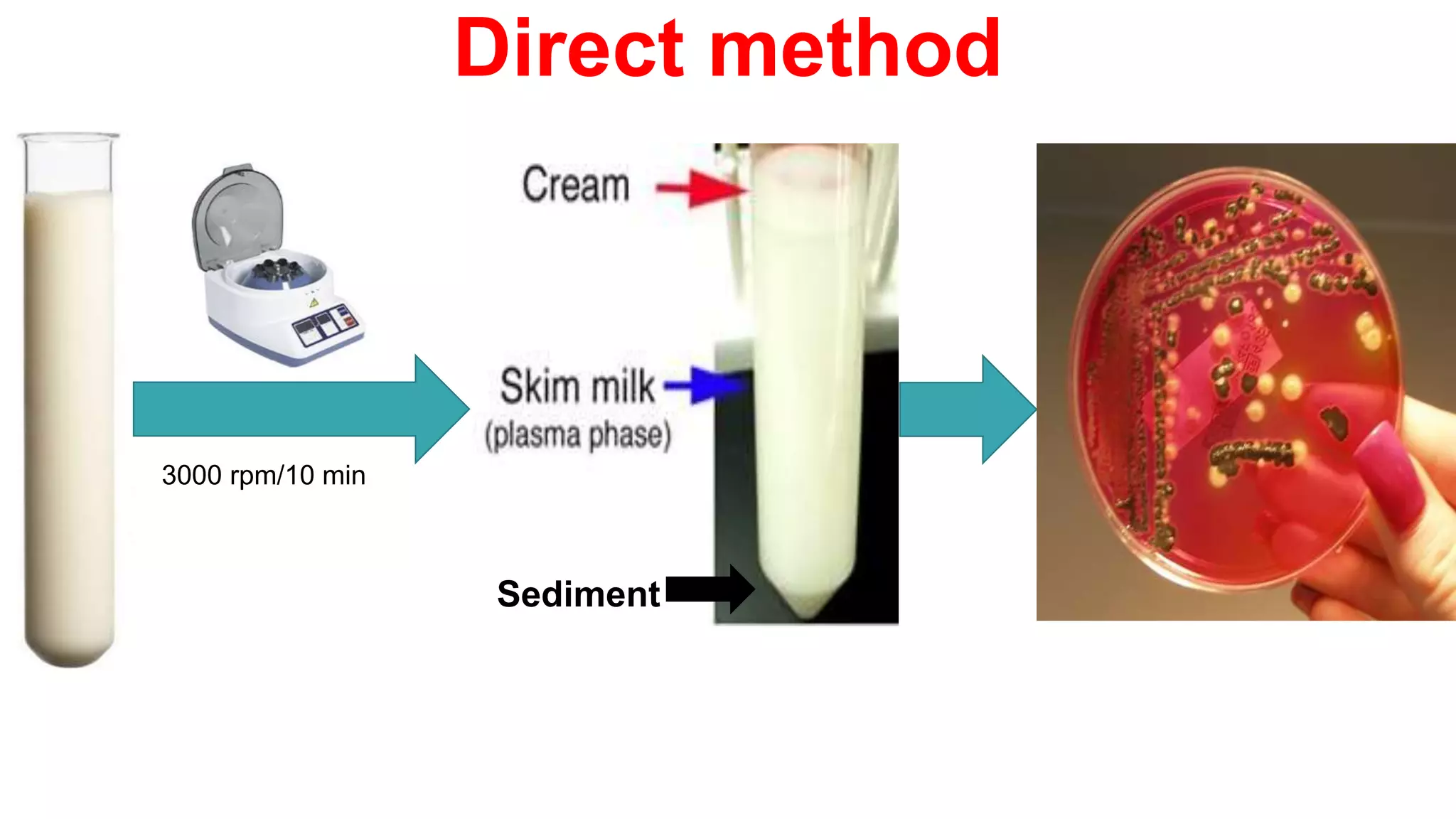 Isolation of some pathogens from milk | PPT
