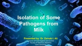 Isolation of Some
Pathogens from
Milk
Presented by: Dr. Zeinab I. Ali
Lecturer of Food Hygiene and Control
Faculty of Veterinary Medicine
Cairo University
 