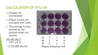 Isolation of viruses and Viral quantification | PPTX