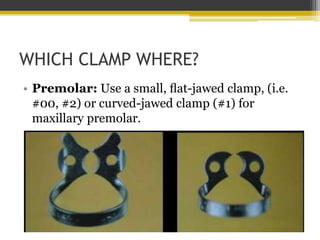 WHICH CLAMP WHERE?
• Maxillary Molar: Use a clamp with curved
jaws (i.e. #8, #56, #4).
 