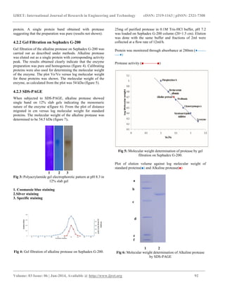 IJRET: International Journal of Research in Engineering and Technology eISSN: 2319-1163 | pISSN: 2321-7308
_______________________________________________________________________________________
Volume: 03 Issue: 06 | Jun-2014, Available @ http://www.ijret.org 92
protein. A single protein band obtained with protease
suggesting that the preparation was pure (results not shown).
4.2.2 Gel Filtration on Sephadex G-200
Gel filtration of the alkaline protease on Sephadex G-200 was
carried out as described under methods. Alkaline protease
was eluted out as a single protein with corresponding activity
peak. The results obtained clearly indicate that the enzyme
preparation was pure and homogenous (figure 4). Calibrating
proteins were also used for determining the molecular weight
of the enzyme. The plot Ve/Vo versus log molecular weight
for these proteins was shown. The molecular weight of the
enzyme, as calculated from the plot was 54 kDa (figure 5).
4.2.3 SDS-PAGE
When subjected to SDS-PAGE, alkaline protease showed
single band on 12% slab gels indicating the monomeric
nature of the enzyme s(figure 6). From the plot of distance
migrated in cm versus log molecular weight for standard
proteins. The molecular weight of the alkaline protease was
determined to be 54.5 kDa (figure 7).
1 2 3
Fig 3: Polyacrylamide gel electrophoretic pattern at pH 8.3 in
12% slab gel
1. Coomassie blue staining
2.Silver staining
3. Specific staining
Fig 4: Gel filtration of alkaline protease on Sephadex G-200.
25mg of purified protease in 0.1M Tris-HCl buffer, pH 7.2
was loaded on Sephadex G-200 column (20×1.5 cm). Elution
was done with the same buffer and fractions of 2ml were
collected at a flow rate of 12ml/h.
Protein was monitored through absorbance at 280nm (♦-------
----♦)
Protease activity (■-----------■)
Fig 5: Molecular weight determination of protease by gel
filtration on Sephadex G-200.
Plot of elution volume against log molecular weight of
standard proteins(■) and Alkaline protease(■)
a
b
c
d
e
f
1 2
Fig 6: Molecular weight determination of Alkaline protease
by SDS-PAGE
 