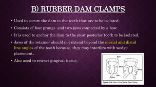 B) RUBBER DAM CLAMPS
• Used to secure the dam to the teeth that are to be isolated.
• Consists of four prongs and two jaws...