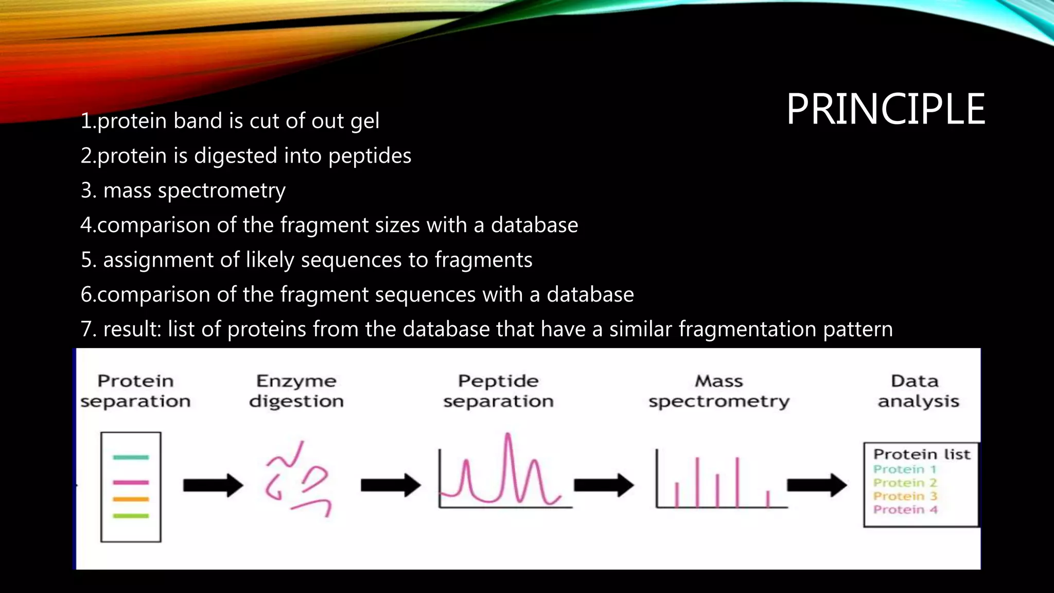 Isolation, purification and characterisation of protein