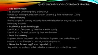 Isolation, purification and characterisation of protein | PPTX