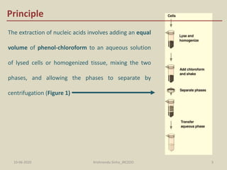 Isolation & purification of DNA from tissue | PPTX