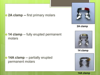 2A clamp -- first primary molars
 14 clamp -- fully erupted permanent
molars
 14A clamp -- partially erupted
permanent molars
2A clamp
14 clamp
14A clamp
 