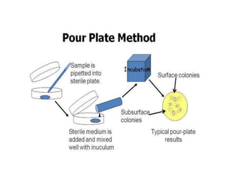 Isolation technioues | PPTX