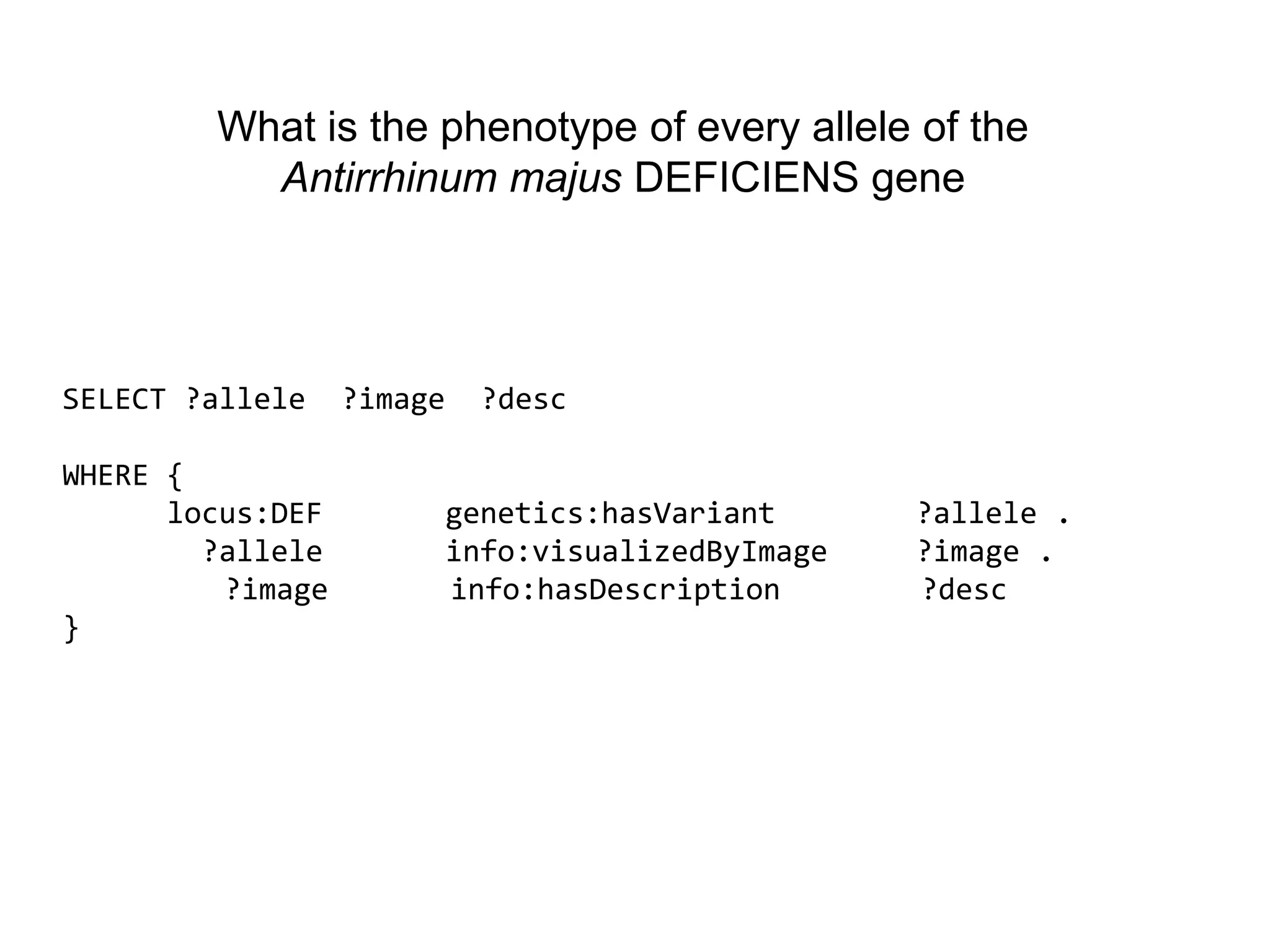 What is the phenotype of every allele of the
          Antirrhinum majus DEFICIENS gene




SELECT ?allele    ?image     ?desc

WHERE {
      locus:DEF            genetics:hasVariant      ?allele .
        ?allele            info:visualizedByImage   ?image .
         ?image            info:hasDescription      ?desc
}
 