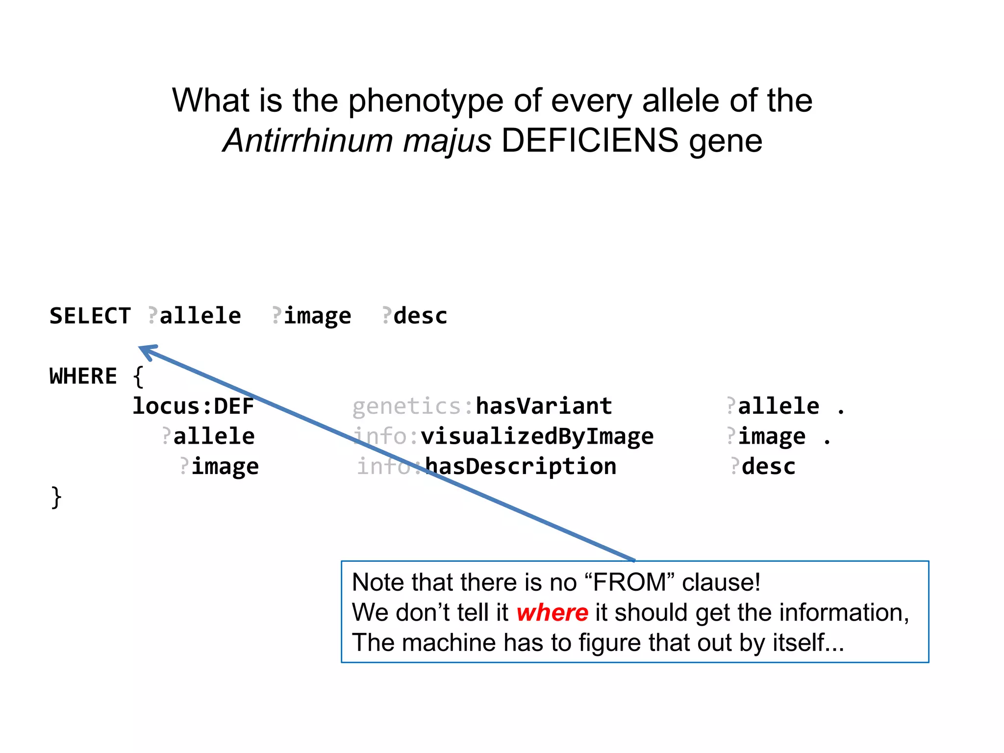 What is the phenotype of every allele of the
          Antirrhinum majus DEFICIENS gene




SELECT ?allele    ?image     ?desc

WHERE {
      locus:DEF            genetics:hasVariant            ?allele .
        ?allele            info:visualizedByImage         ?image .
         ?image            info:hasDescription            ?desc
}


                       Note that there is no “FROM” clause!
                       We don’t tell it where it should get the information,
                       The machine has to figure that out by itself...
 